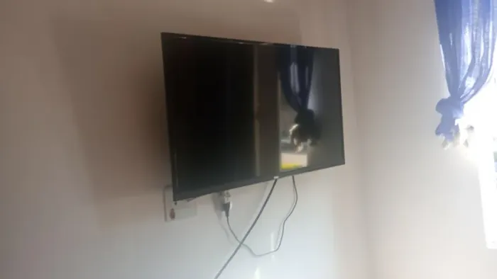 Televisão 