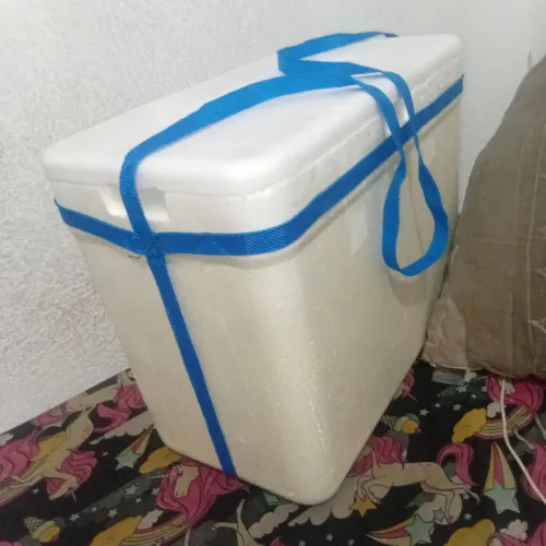 Caixa de isopor com alça grande