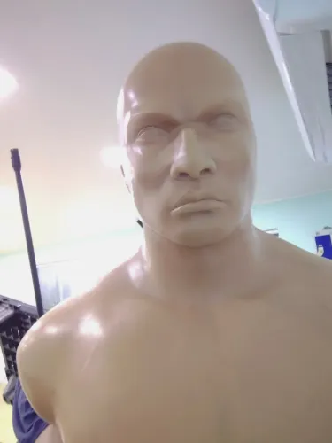 Bob