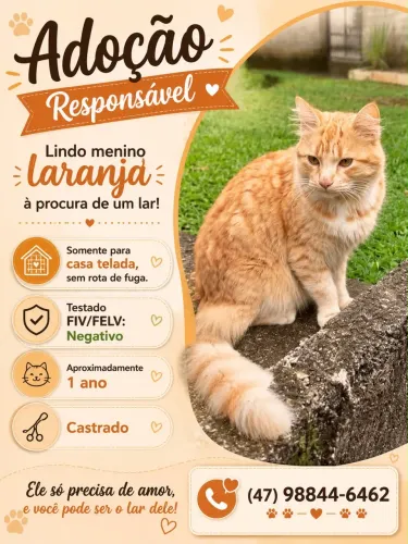 Doação 