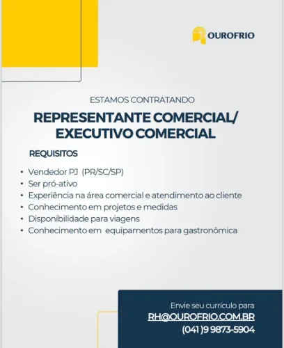 Vendedor representante comercial