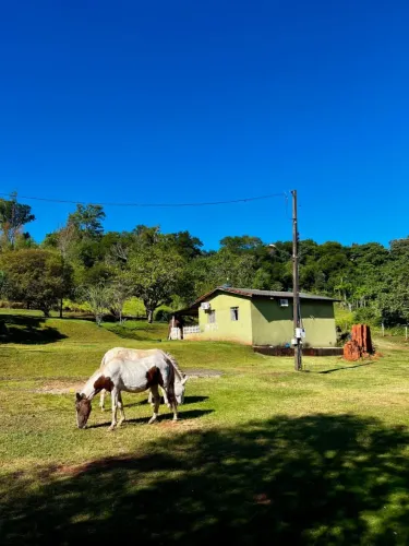 Oportunidade imperdível próximo a Mandaguari!