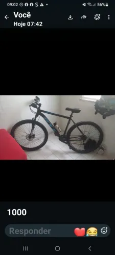 Bicicleta