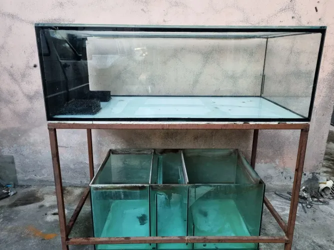 Aquario 288l 10mm + Sump 150l