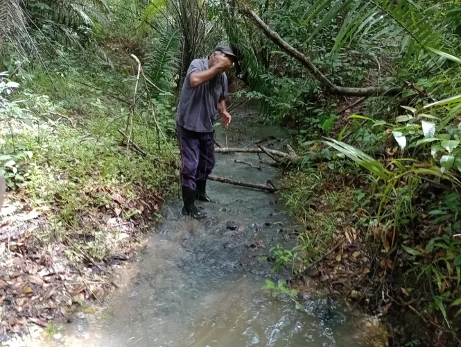 Sítio com riacho e 12 tarefas em itaporanga 