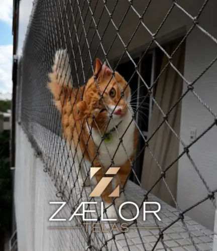 REDE DE PROTEÇÃO PARA GATOS