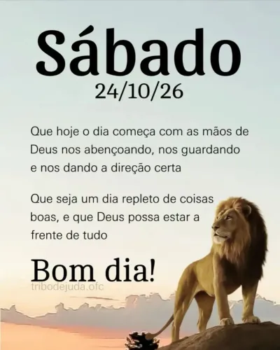 Andador de alumínio seminovo