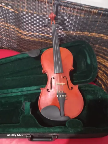 Violino