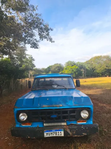 Chevrolet D-10 Diesel 1982
