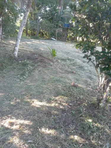 Terreno com sítio e casa em construção!