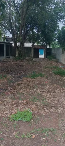 Lote 600m², murado. Guaratiba ( RGI)