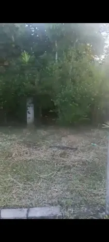 Terrenos e lotes situado em aldeia dos camaradas tenho de vários tamanhos