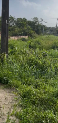 Terreno - Praia Bopiranga