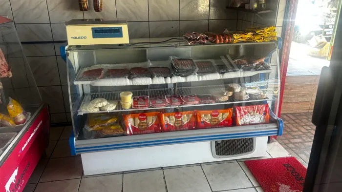 Freezer vertical