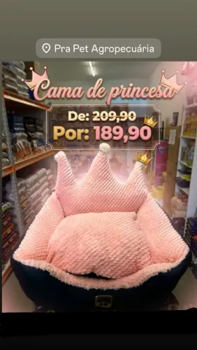 Cama pet