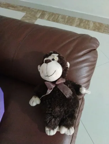 Brinquedo de pelúcia