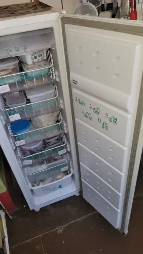 Freeser vertical Consul