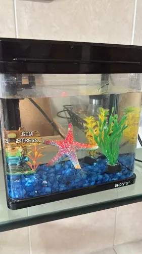 Aquário de 7,5L da marca Boyo