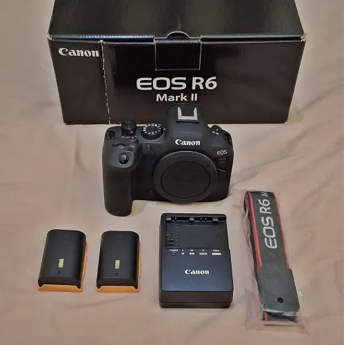 Canon R6 Mark II + RF 35mm F1.8