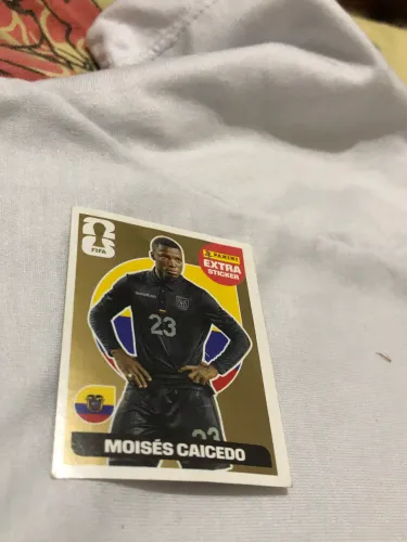 Moisés caicedo ouro extra stickers
