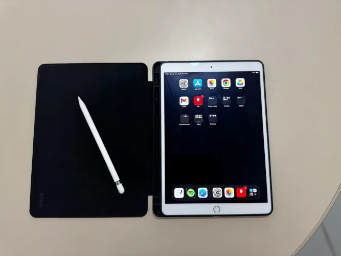 Ipad Pro 10,5 pol 256 GB + Apple Pencil + Case especial
