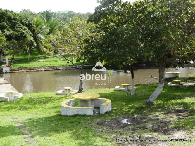 Imóveis Residenciais Fazenda em Pedro Velho
