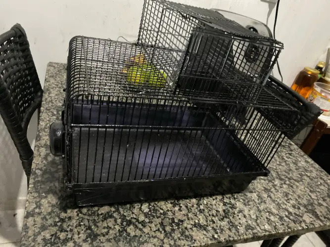 Gaiola para hamster ou rato twister