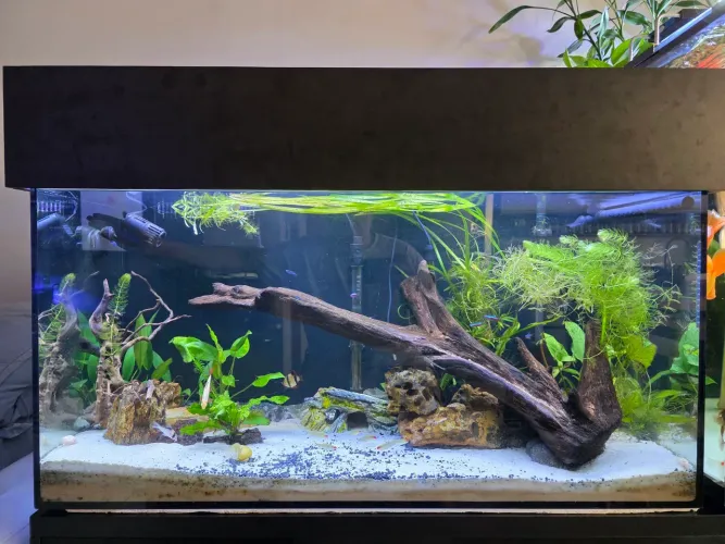 Aquario 200 litros completo
