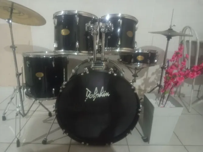 Bateria musical dolphin 