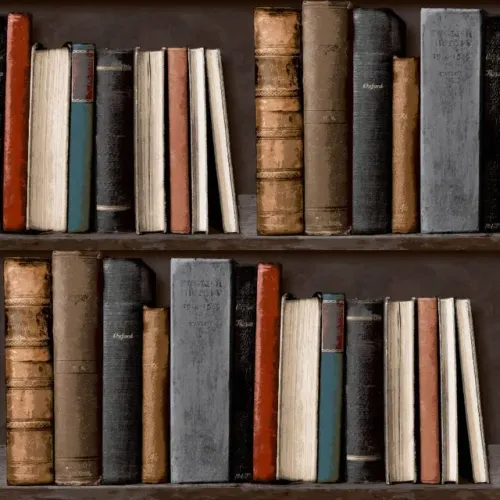 Box de livros em bom estado