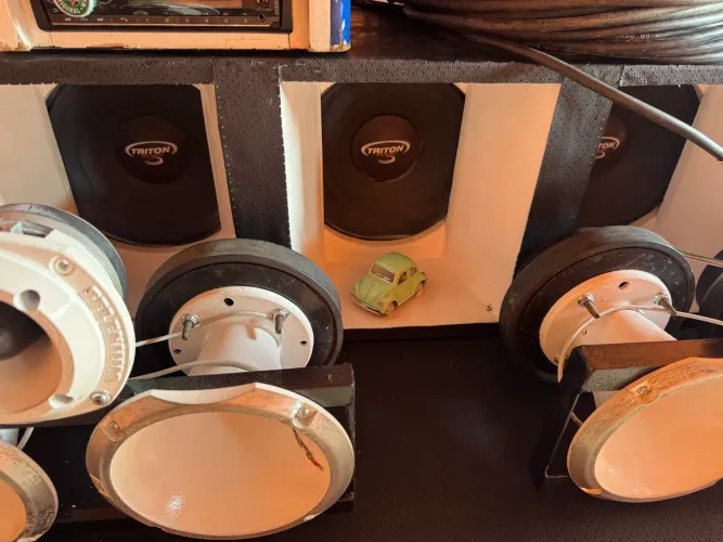Alto Falante Woofer Triton 10 SIx 600 300wrms 10 Pol 8 Ohms