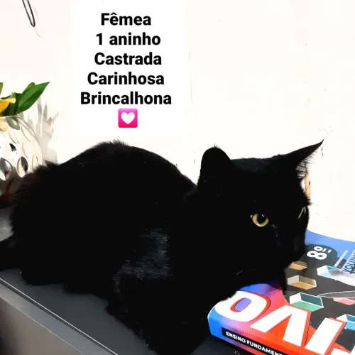 Linda Luna