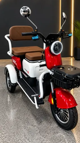 Triciclo Elétrico Hemmer 850W Novo