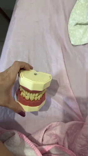 Manequim Odontológico