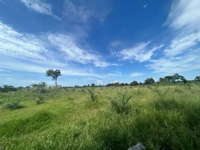 Fazenda no Pantanal Arrendamento