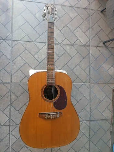 Relíquia para reforma Giannini Ovation 1980