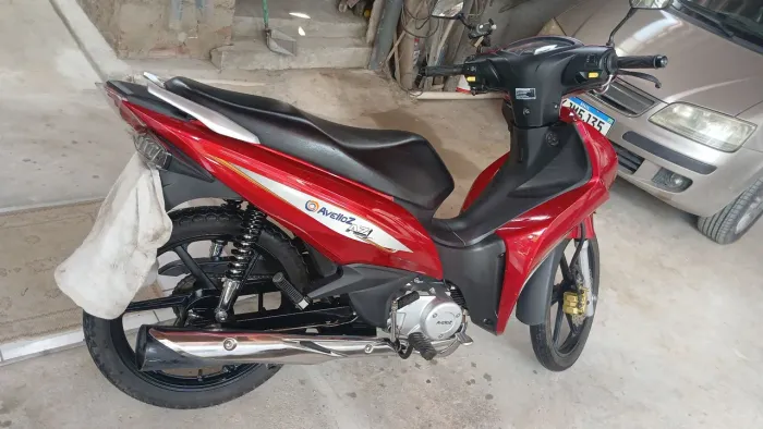 Avelozz az1 ano 2023