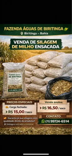 Silagem de Milho - 100% dos Grãos - saco 25kg