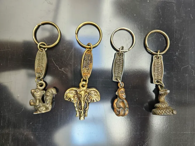 Chaveiros de metal zoológico de São Paulo