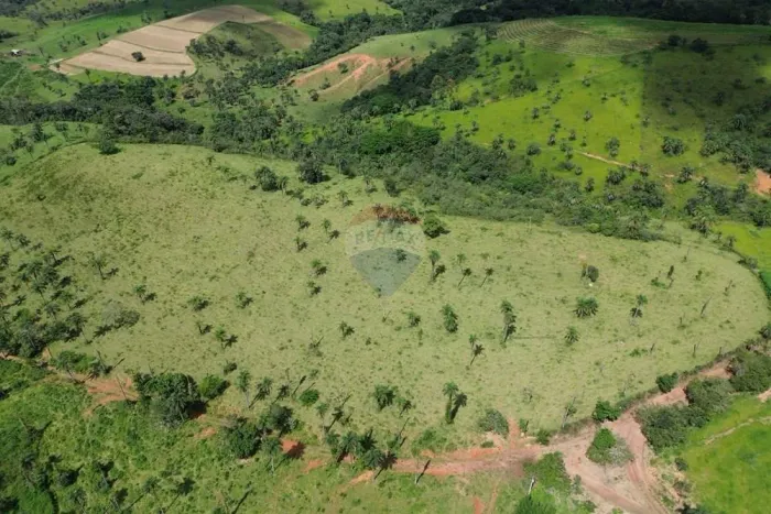 FAZENDA BANANAL À VENDA COM 103,4 HECTARES CÓRREGO DANTA/MG