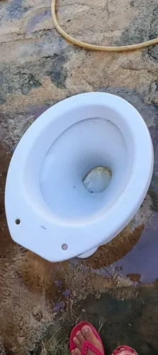 Vendo esse vaso usado