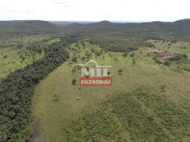 Fazenda p/ Lavoura em Pindorama - TO. 275 Alq. (1.331 Há)