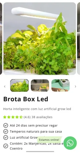 Orta inteligente *PROMOÇÃO*