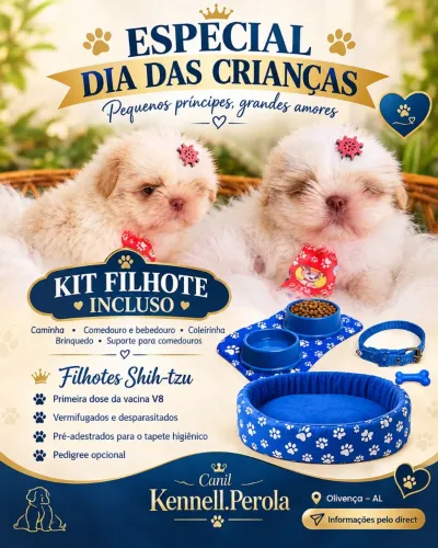 Shih-tzu Macho