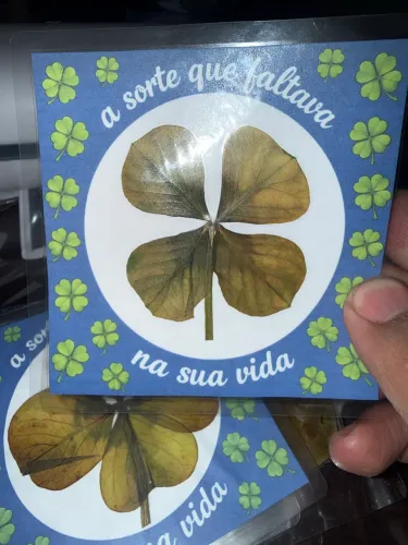 Amuleto da sorte trevo de 4 folhas original