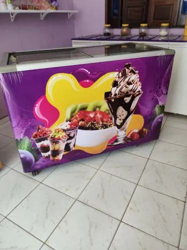 VENDO FREEZER FRICON 411 L