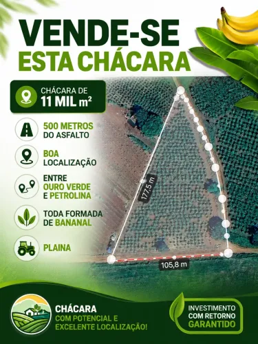 Vendo chacara em ouro verde goiás