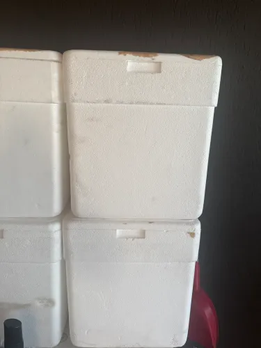 Caixa de isopor 42l