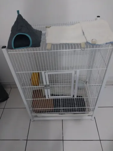 Gaiola gaiopar para roedores, acompanha acessórios novos e outros usados