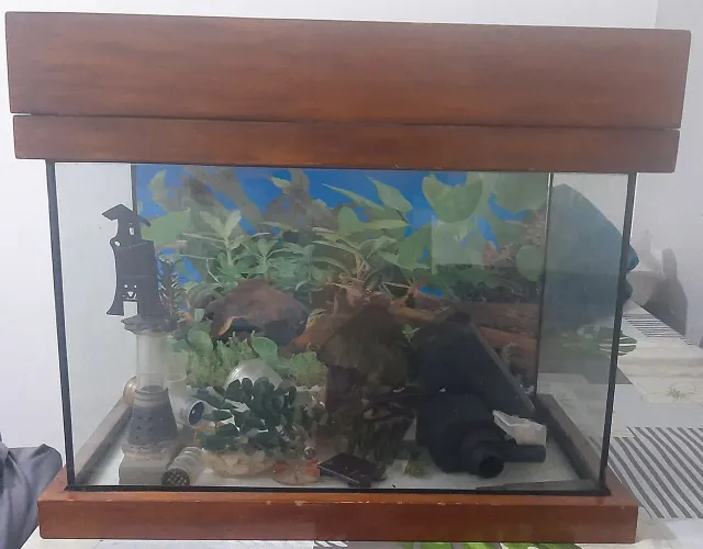 Aquário com moldura de 29 litros